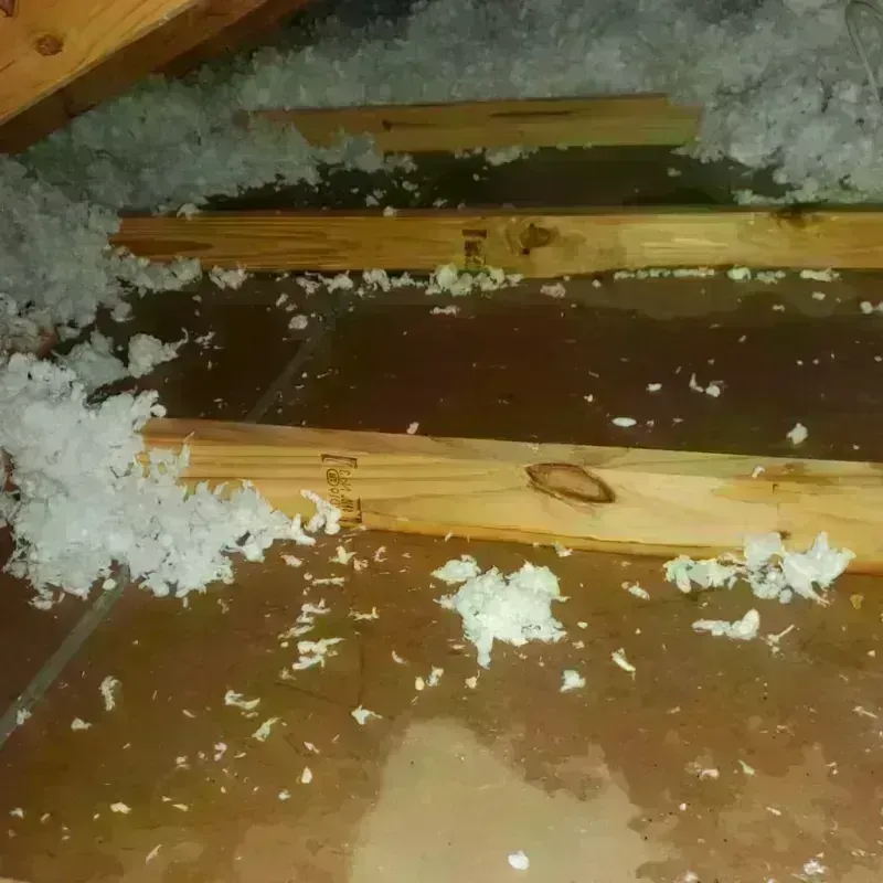 Attic Water Damage in Lajas, PR